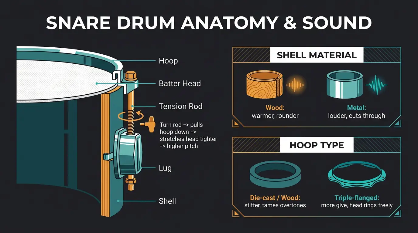 Infographic showing snare drum cross-section labeling hoop, head, rod, lug, shell, plus shell and hoop tone comparisons.